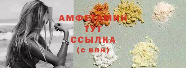 ПСИЛОЦИБИНОВЫЕ ГРИБЫ Бородино